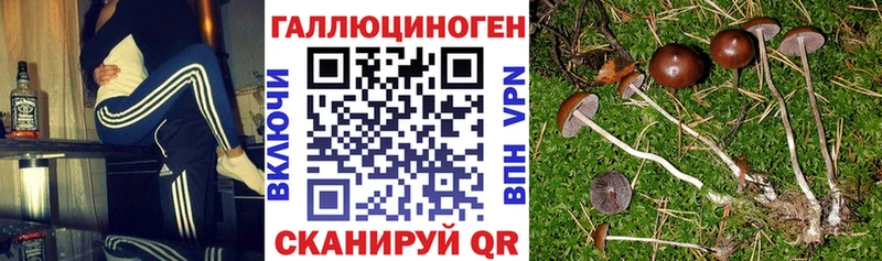 Галлюциногенные грибы Cubensis  как найти наркотики  Заволжск 